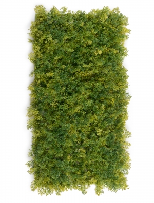 Мох Ягель зелёный микс (коврик)