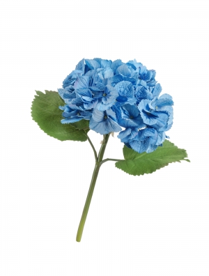 Гортензия крупно-цветковая (серия MDP) тёмно-голубая